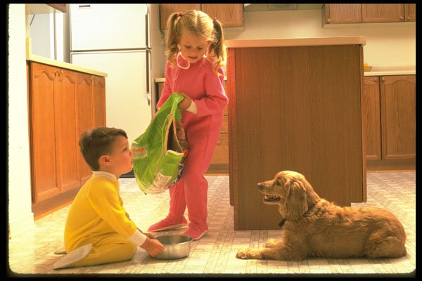 651093 Children Feeding Family Dog A4 Photo Print