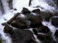 6518001980s 1990s A4 Photo Print