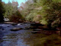 6522001980s 1990s A4 Photo Print