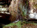6526001980s 1990s A4 Photo Print