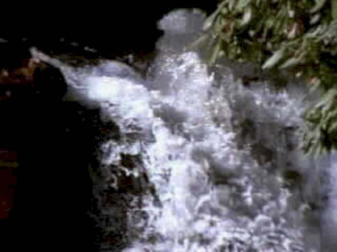 6530001980s 1990s A4 Photo Print
