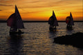 654008 Sailing A4 Photo Print