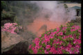 654017 Steam Pool In Bephu, Japan A4 Photo Print