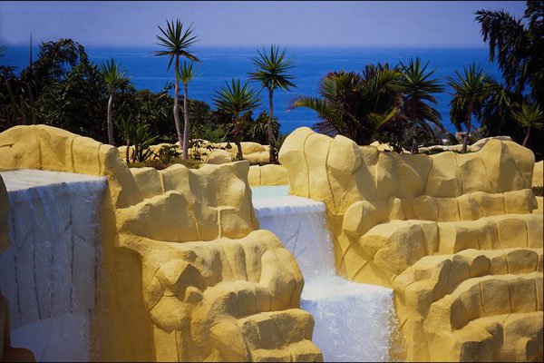 654027 Loro Park, Tenerife A4 Photo Print