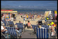 654083 Sunny Beach Shot With Deck Chairs A4 Photo Print