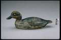 655000 Duck Decoy, Circa 1900 A4 Photo Print