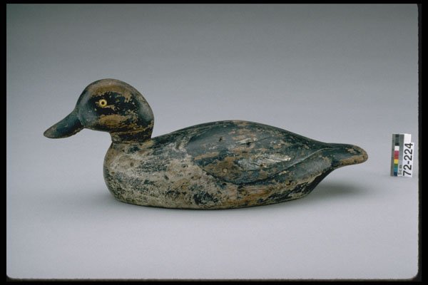 655000 Duck Decoy, Circa 1900 A4 Photo Print