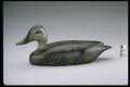 655001 Black Duck Decoy, Circa 1940 A4 Photo Print