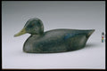 655002 Black Duck Decoy, Circa 1890 A4 Photo Print