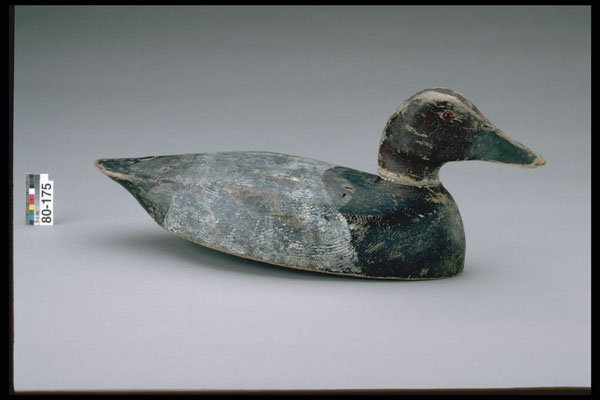 655010 Canvasback Drake Decoy, Circa 1940 A4 Photo Print