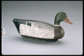 655011 Mallard Drake Decoy, Circa 1945 A4 Photo Print