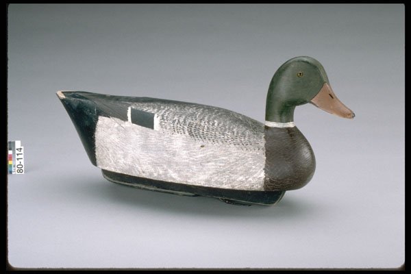 655011 Mallard Drake Decoy, Circa 1945 A4 Photo Print