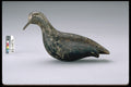655013 Plover Decoy Circa, 1880 A4 Photo Print