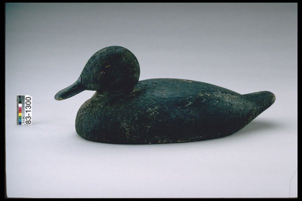655014 Black Duck Decoy, Circa 1930 A4 Photo Print