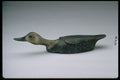 655015 Black Duck Drake Decoy, Circa 1930 A4 Photo Print