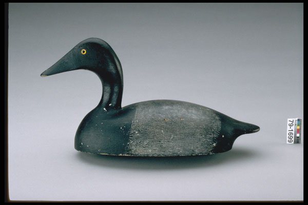 655016 Canvasback Drake Decoy, Circa 1920 A4 Photo Print