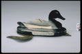 655018 Duck Decoy, Circa 1885 A4 Photo Print