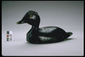 655030 Whistler Decoy, 1915 1925 A4 Photo Print