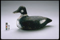 655032 Whistler Decoy, Circa 1885 A4 Photo Print