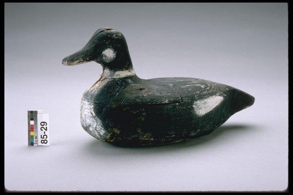 655032 Whistler Decoy, Circa 1885 A4 Photo Print