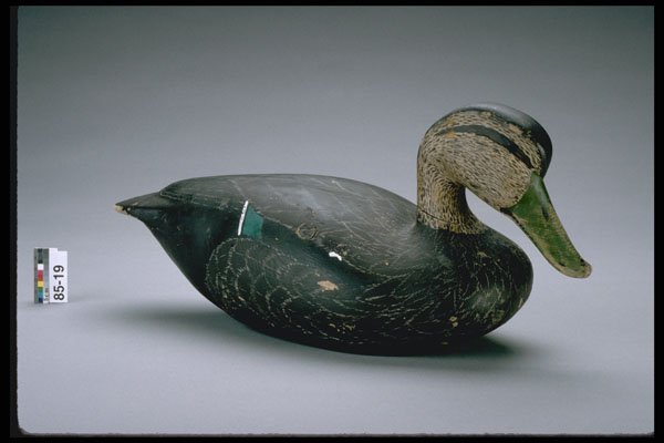 655039 Duck Drake Decoy, 1973 1983 A4 Photo Print