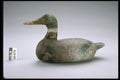 655045 Mallard Hen Decoy, 1945 1955 A4 Photo Print