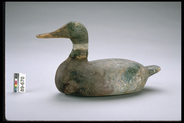 655045 Mallard Hen Decoy, 1945 1955 A4 Photo Print