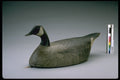 655049 Canada Goose Decoy, 1850 1925 A4 Photo Print