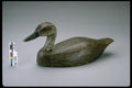 655055 Duck Decoy, Date Unknown A4 Photo Print