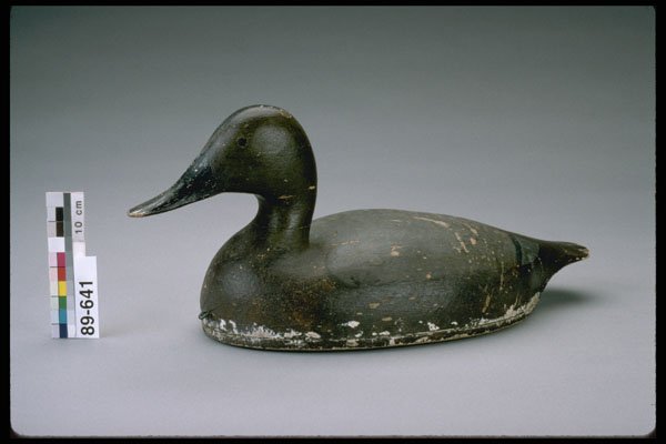655056 Canvasback Hen Decoy, 1879 1899 A4 Photo Print