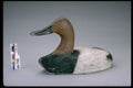 655058 Duck Decoy, Date Unknown A4 Photo Print