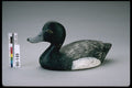 655063 Bluebill Decoy, Circa 1960 A4 Photo Print