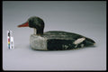 655066 Merganser Decoy, Date Unknown A4 Photo Print