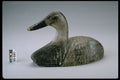 655073 Canvasback Hen Decoy, 1947 1957 A4 Photo Print