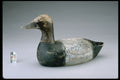 655074 Duck Decoy, 1918 1928 A4 Photo Print