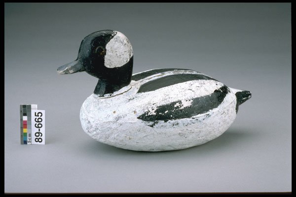 655076 Bufflehead Drake Decoy, 1943 1953 A4 Photo Print