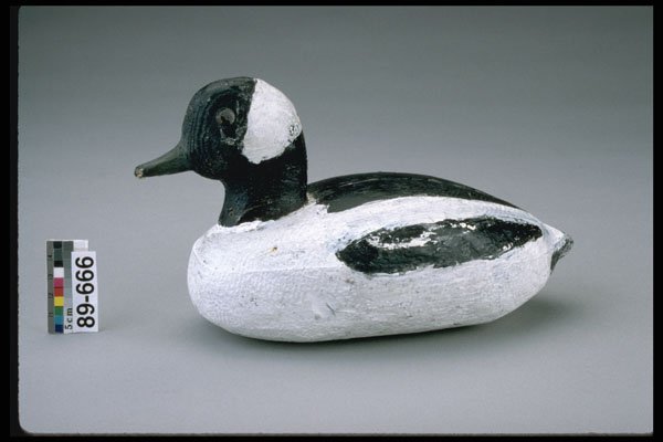 655077 Bufflehead Drake Decoy, 1943 1953 A4 Photo Print