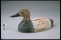 655078 Canvasback Decoy, 1930 1940 A4 Photo Print