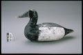 655079 Bluebill Drake Decoy, 1930 1940 A4 Photo Print