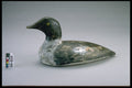 655081 Goldeneye Decoy, 1944 1954 A4 Photo Print
