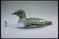 655082 Goldeneye Decoy, 1944 1954 A4 Photo Print