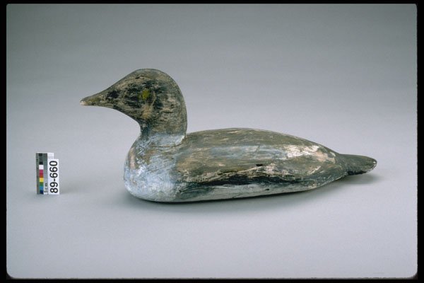 655082 Goldeneye Decoy, 1944 1954 A4 Photo Print