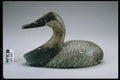 655083 Canvasback Hen Decoy, 1947 1957 A4 Photo Print