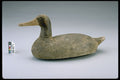 655084 Mallard Hen Decoy, 1945 1955 A4 Photo Print