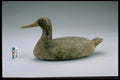 655085 Mallard Drake Decoy, 1945 1955 A4 Photo Print