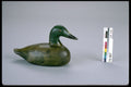 655094 Duck Decoy, 1964 1974 A4 Photo Print
