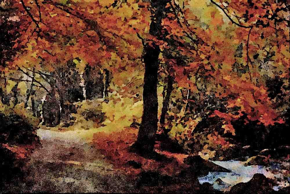 656006 Autumn In Luxulyan Valley A4 Limited Edition Watercolour Print