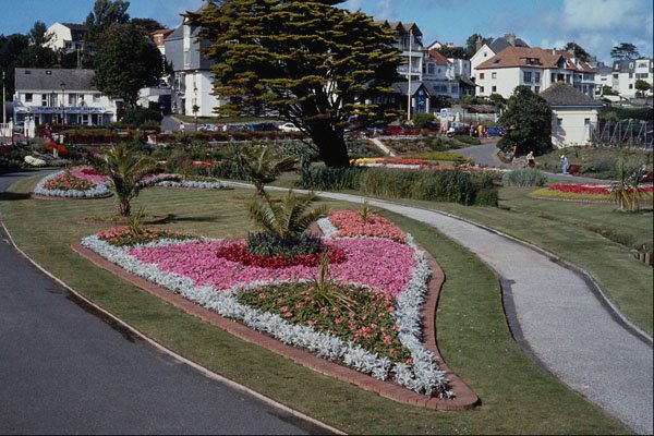 656008 Queen Mary Gardens, Falmouth A4 Photo Print