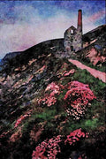 656014 Cornish Flora Sea Pinks At Wheal Coates A4 Limited Edition Watercolour Print