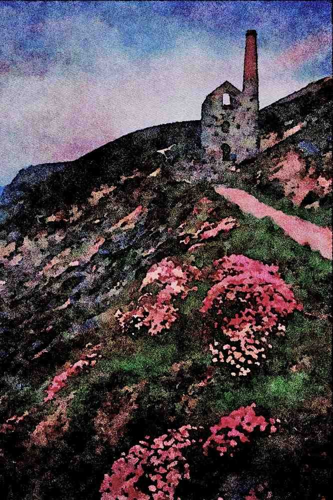 656014 Cornish Flora Sea Pinks At Wheal Coates A4 Limited Edition Watercolour Print